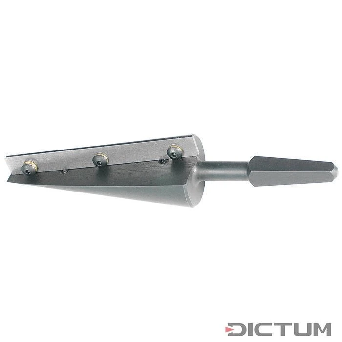 Foret à Cône Veritas